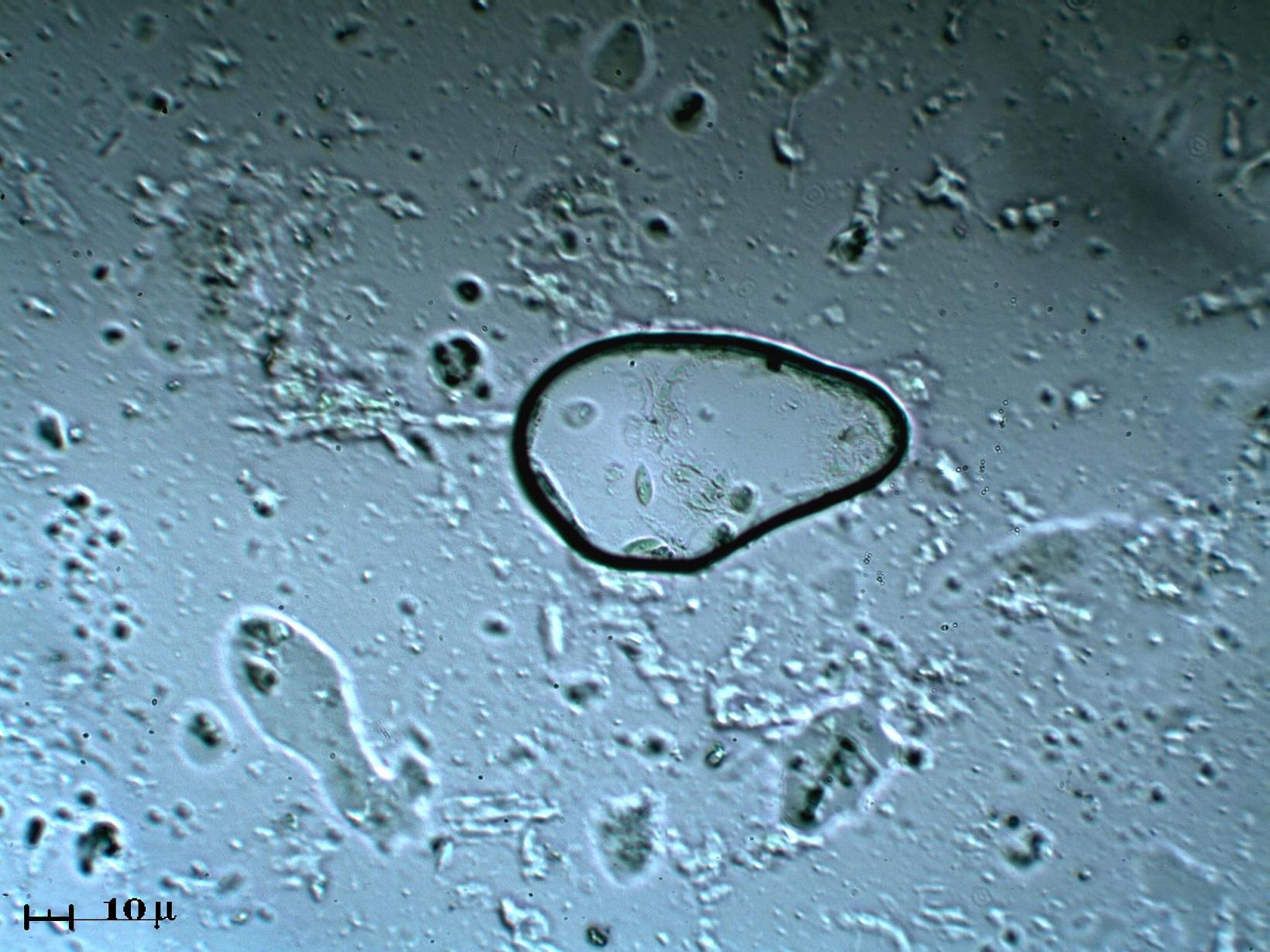 Il pi piccolo acquario del mondo
