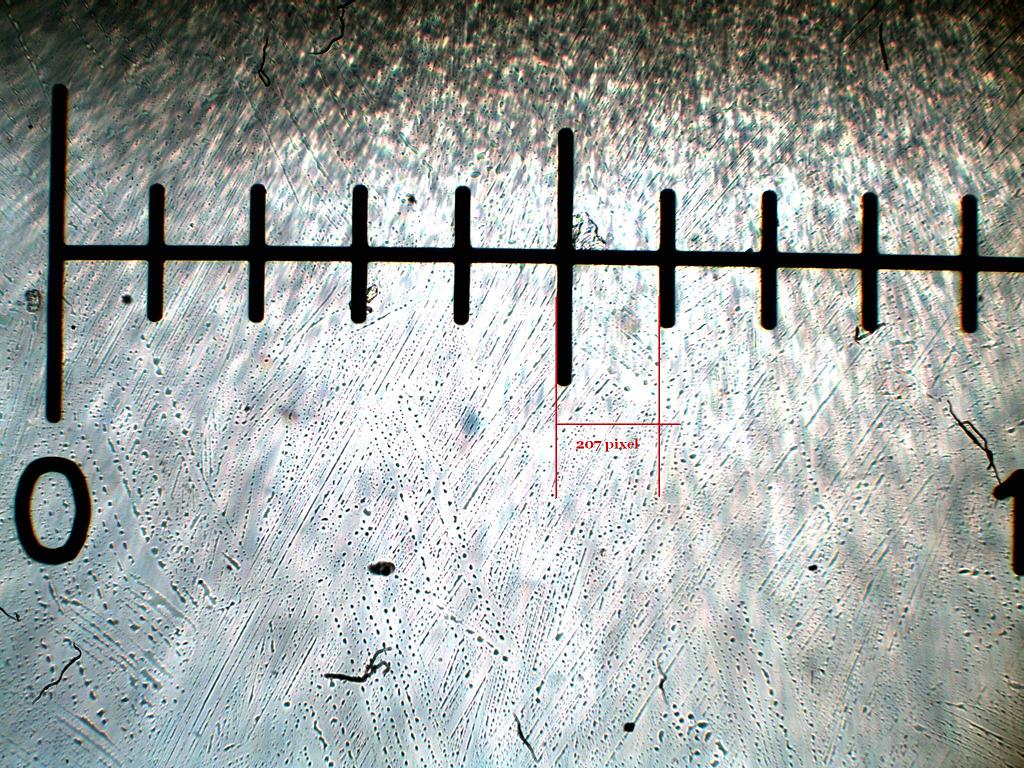 Mettiamo scala e valori di riferimento sulle foto!