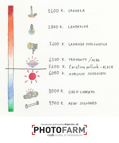 Help!!! come si fotografano le chioccioline?