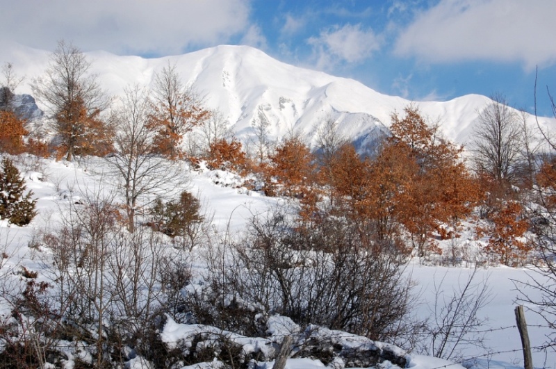 Parco Nazionale Gran Sasso/ Laga - Lago di Campotosto