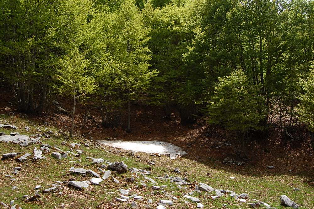 PNA - escursione nelle faggete di Barrea fino al lago Vivo,