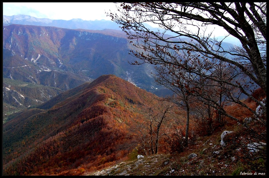 Monti Simbruini - salita tra le faggete del monte Autore