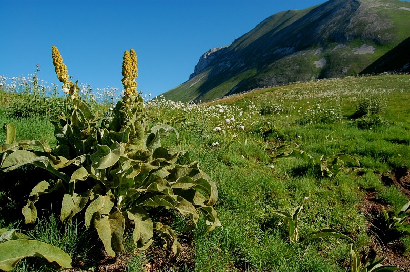 Monti Sibillini - l''anello lungo le creste del Redentore