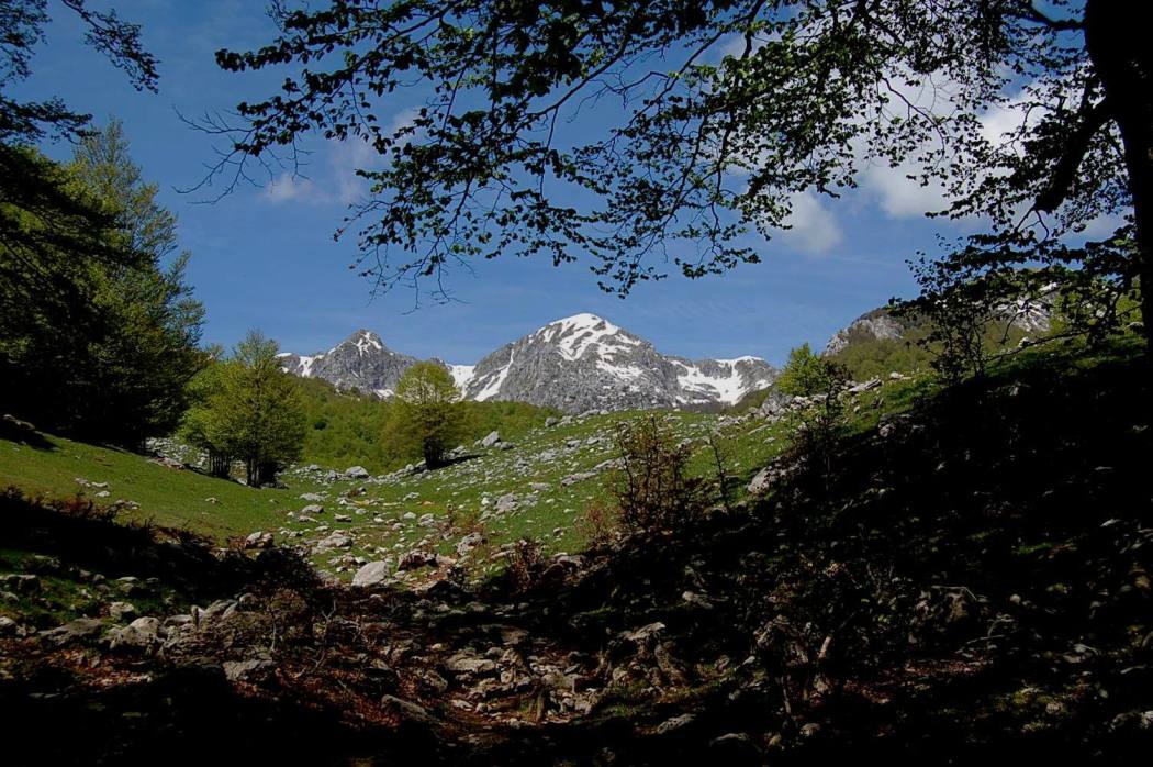 PNA - escursione nelle faggete di Barrea fino al lago Vivo,