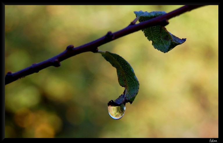I colori dell''autunno...