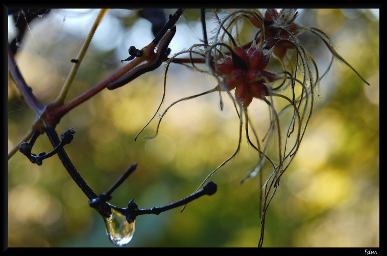 I colori dell''autunno...