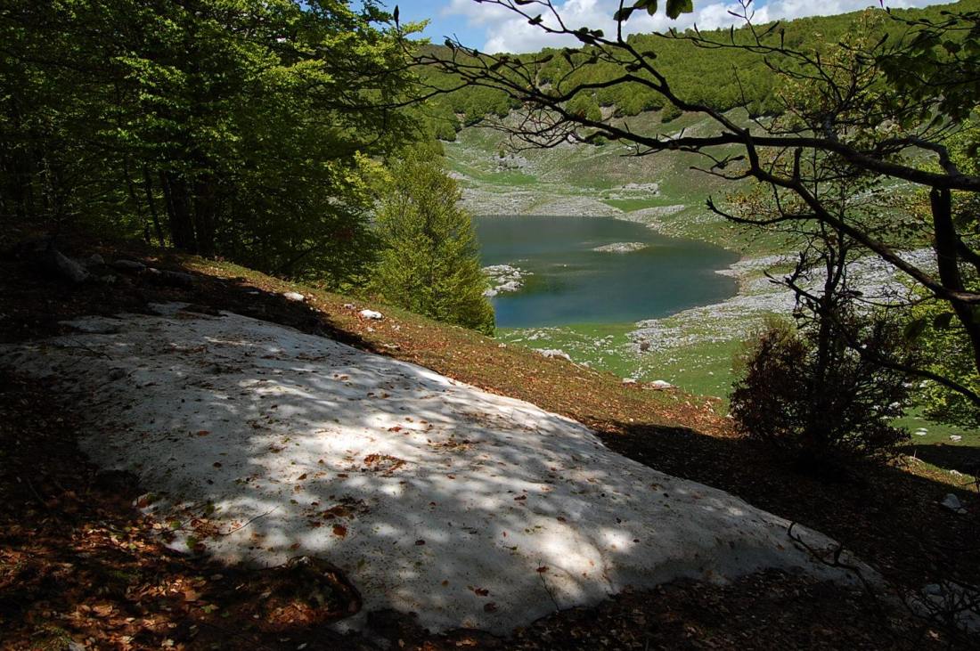 PNA - escursione nelle faggete di Barrea fino al lago Vivo,