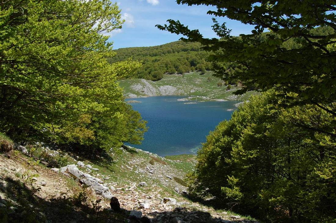 PNA - escursione nelle faggete di Barrea fino al lago Vivo,