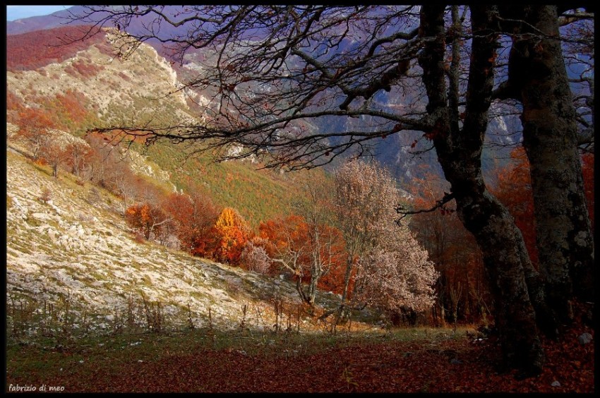 Monti Simbruini - salita tra le faggete del monte Autore
