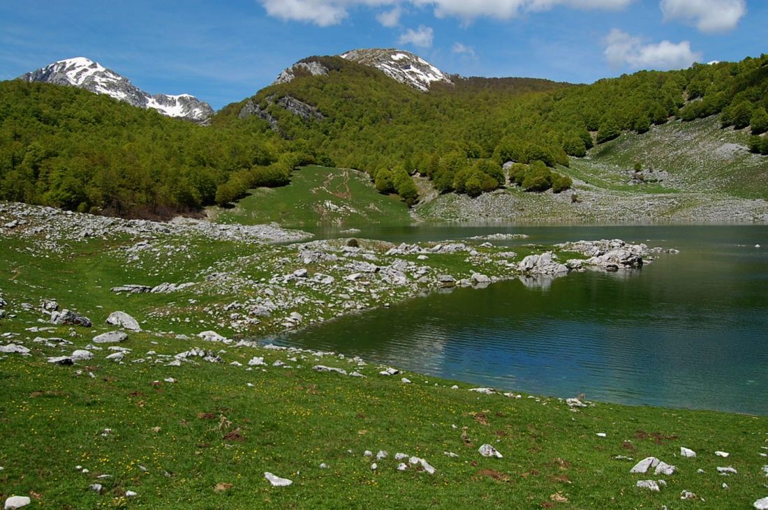 PNA - escursione nelle faggete di Barrea fino al lago Vivo,