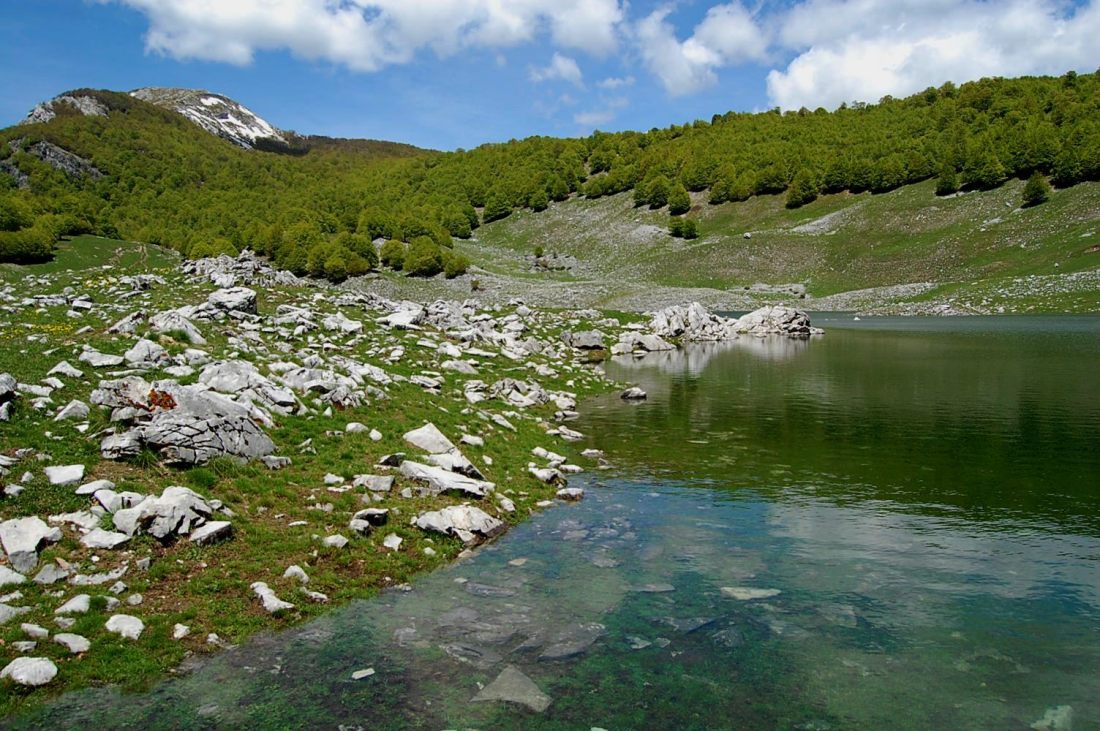 PNA - escursione nelle faggete di Barrea fino al lago Vivo,