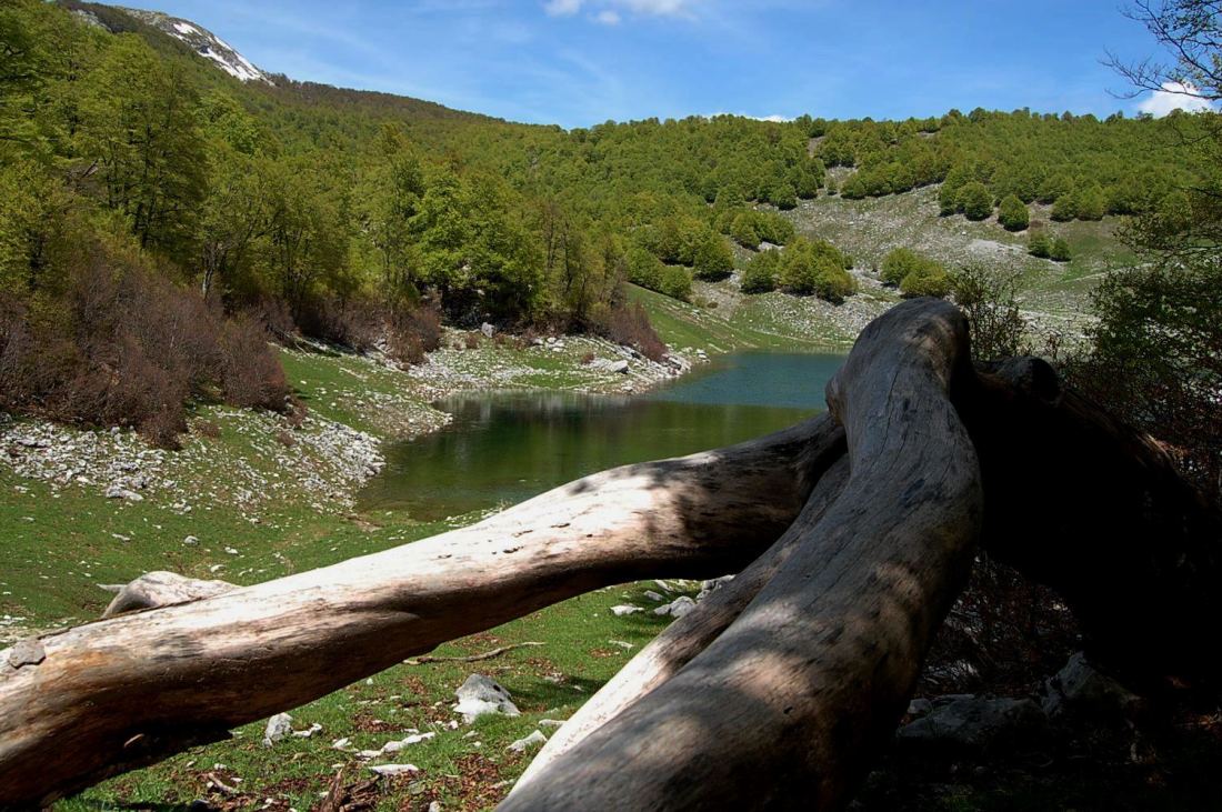 PNA - escursione nelle faggete di Barrea fino al lago Vivo,