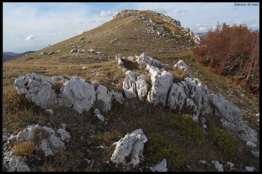 Monti Simbruini - salita tra le faggete del monte Autore