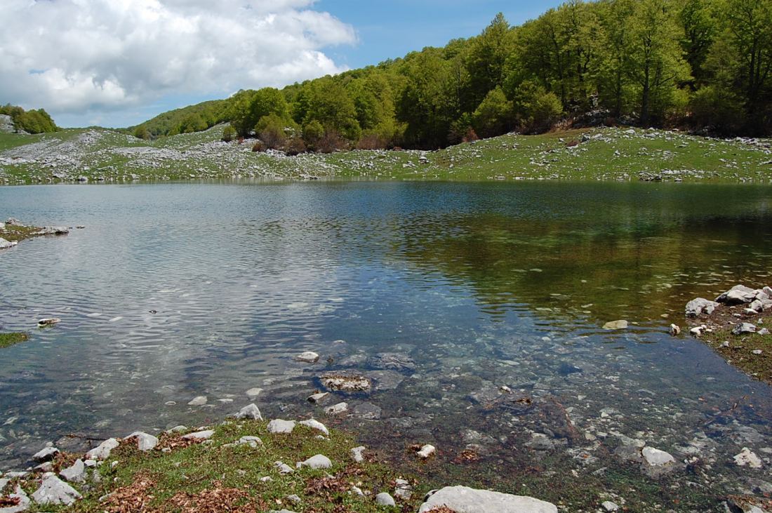 PNA - escursione nelle faggete di Barrea fino al lago Vivo,