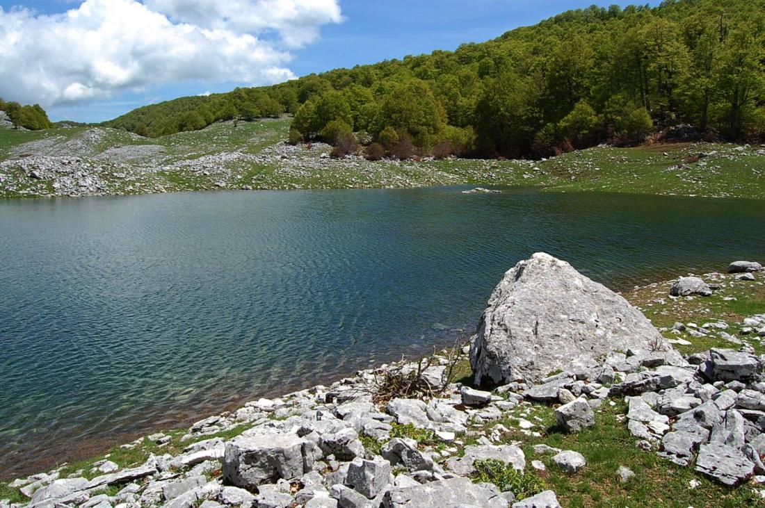 PNA - escursione nelle faggete di Barrea fino al lago Vivo,