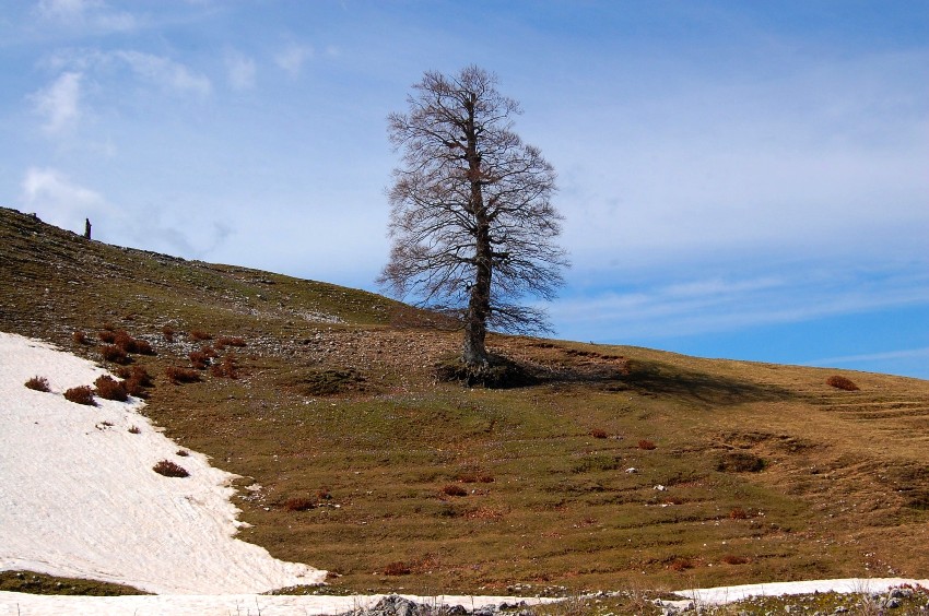 PN d''Abruzzo - sulle nevi delle Mainarde occidentali