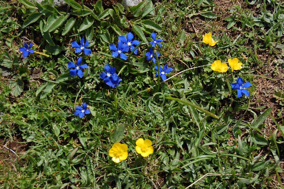 PNA - escursione nelle faggete di Barrea fino al lago Vivo,
