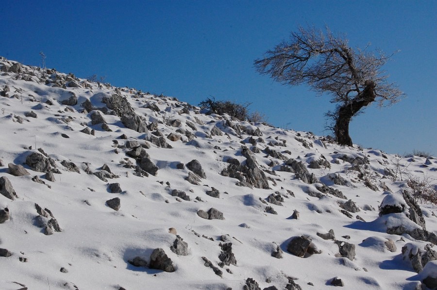 Monte Gennaro 1271 mt. - ghiaccio e neve alle porte di Roma