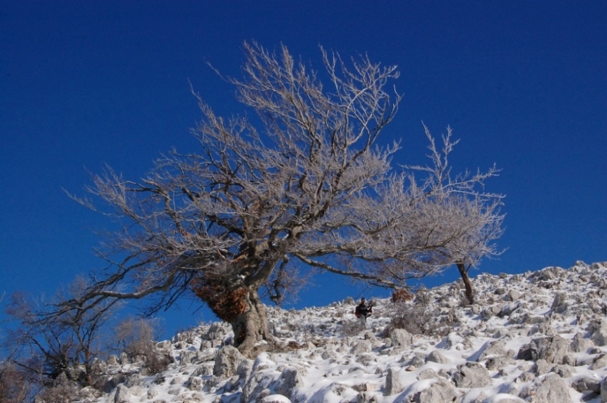 Monte Gennaro 1271 mt. - ghiaccio e neve alle porte di Roma