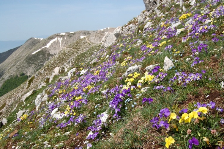 Appennino centrale - monti Ernici - salita al pizzo Deta