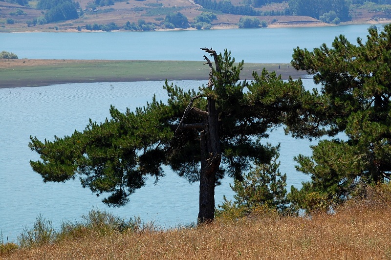 Laghi.........della CALABRIA