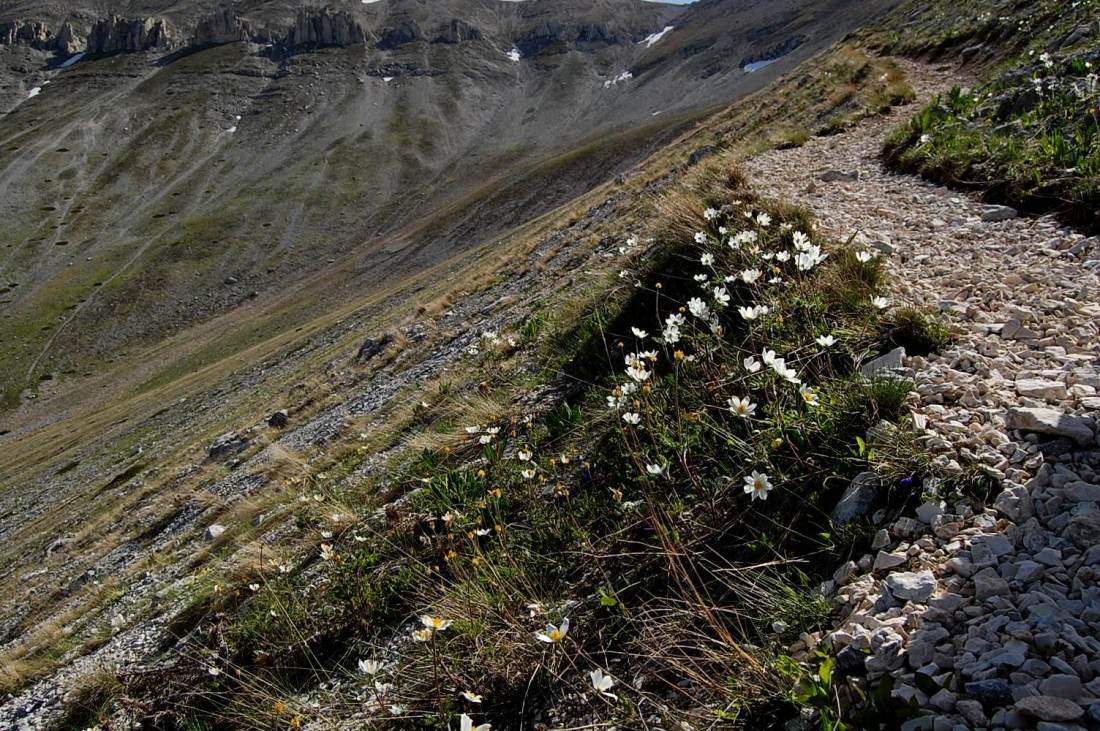 Majella d''acqua, di neve e di fiori.