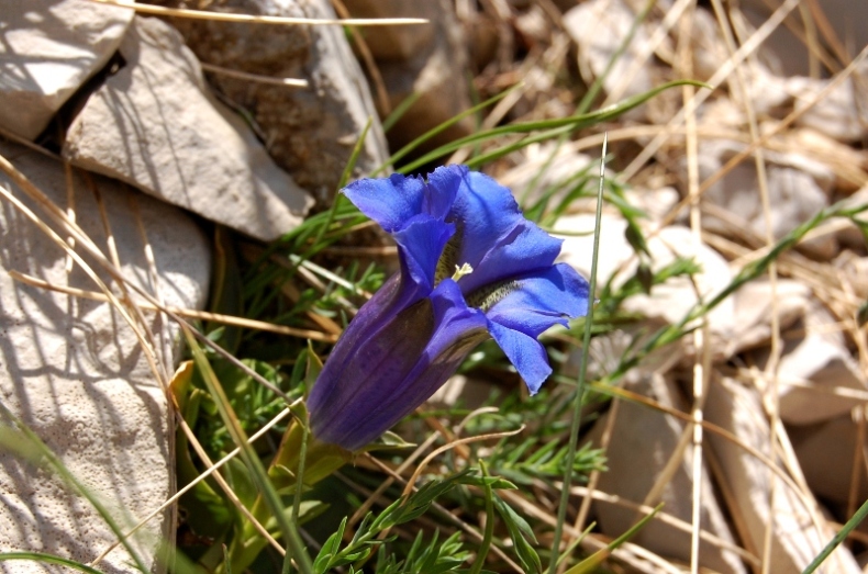 Sul tetto dei Sibillini - salita sul monte Vettore