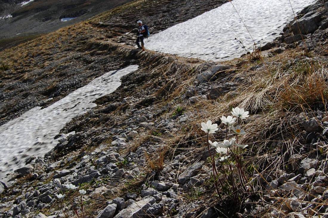 Majella d''acqua, di neve e di fiori.