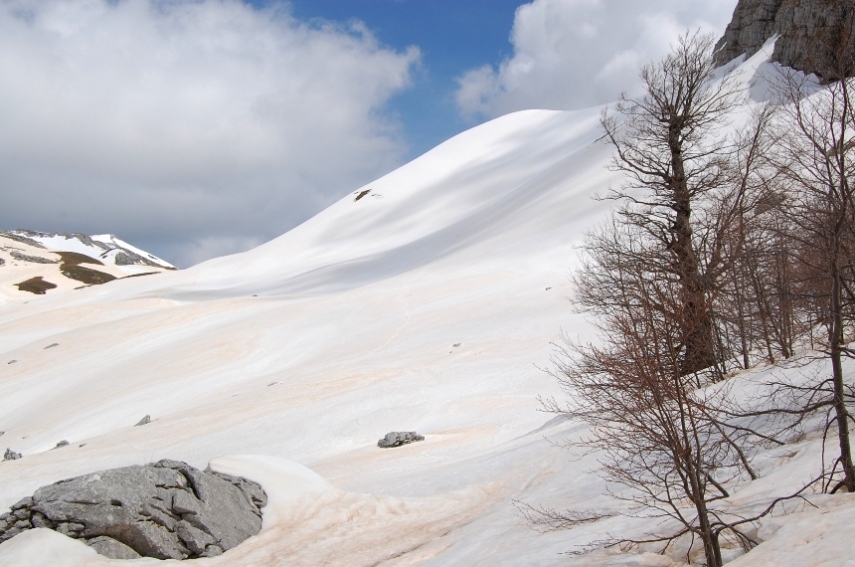 PN d''Abruzzo - sulle nevi delle Mainarde occidentali