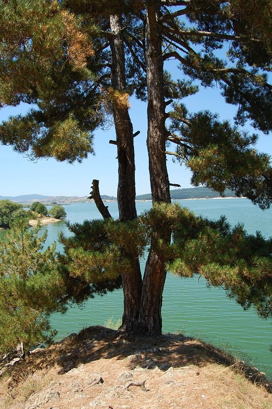 Laghi.........della CALABRIA