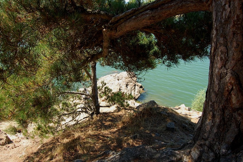 Laghi.........della CALABRIA