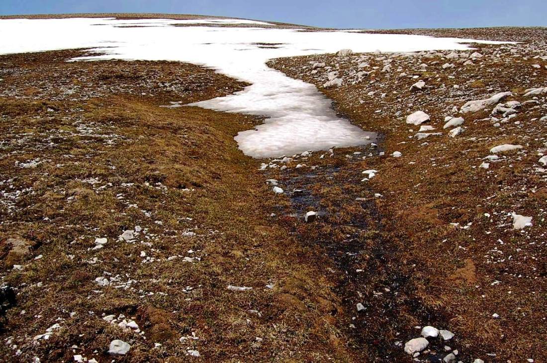 Majella d''acqua, di neve e di fiori.