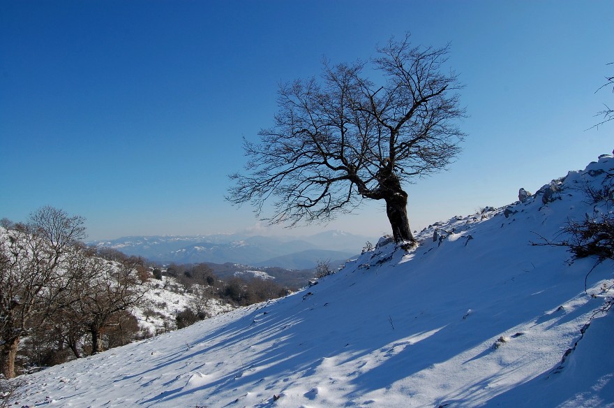 Monte Gennaro 1271 mt. - ghiaccio e neve alle porte di Roma