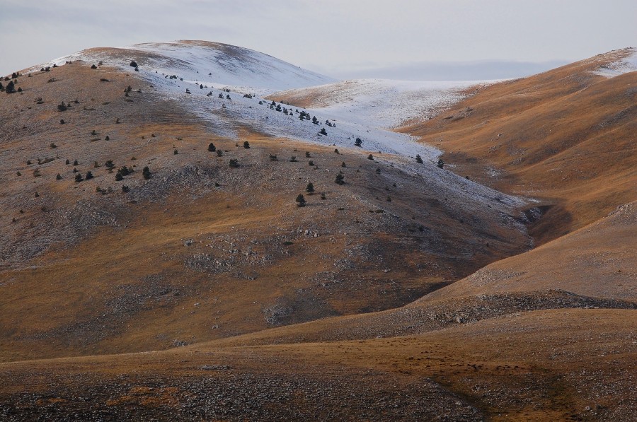 Zucchero a velo sull''altopiano di Campo Imperatore
