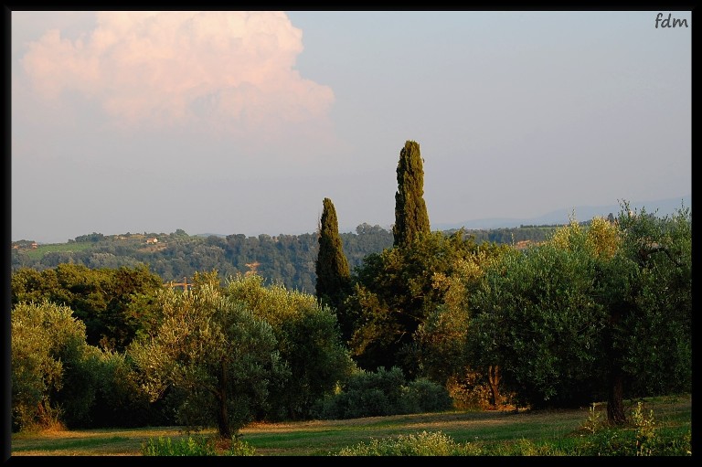 San Gimignano e i grattacieli del Medio Evo