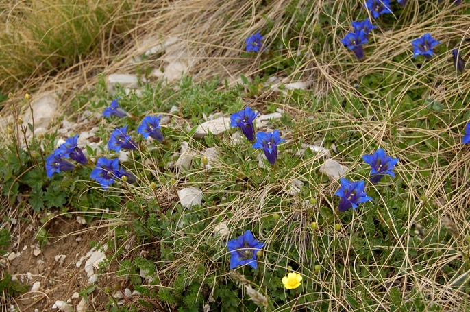 Sul tetto dei Sibillini - salita sul monte Vettore