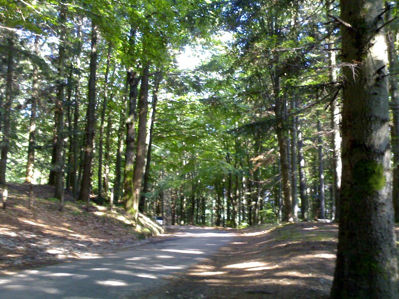 Parco Regionale dell''Acquerino