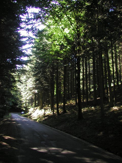 Parco Regionale dell''Acquerino
