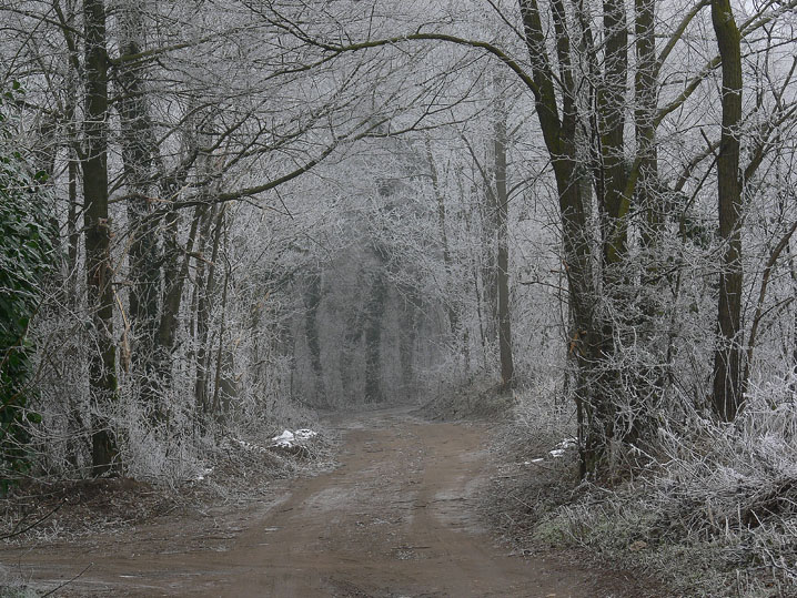 Paesaggi incantati