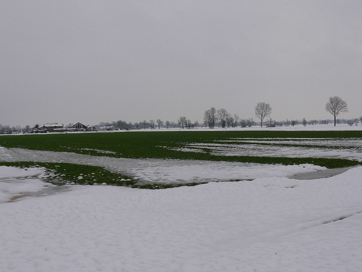 Panorami innevati