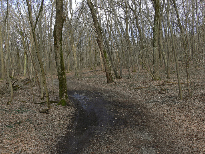 Marzo-Aprile 2009