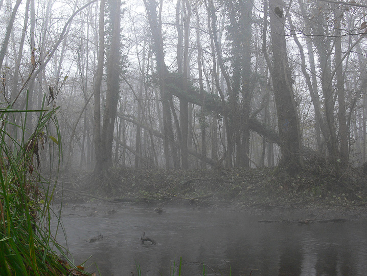 Dicembre 2008