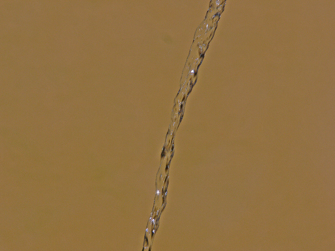 Dipingere con...l''acqua