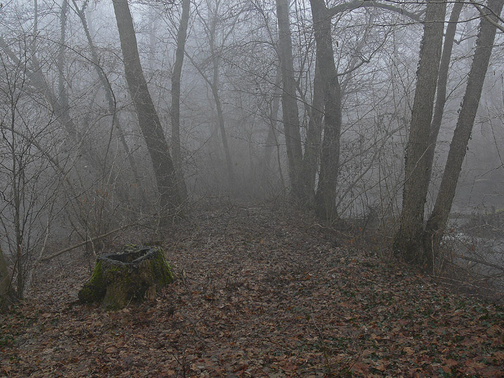 Gennaio-Febbraio 2009