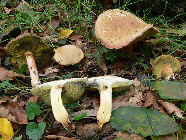 Settembre-Ottobre 2009