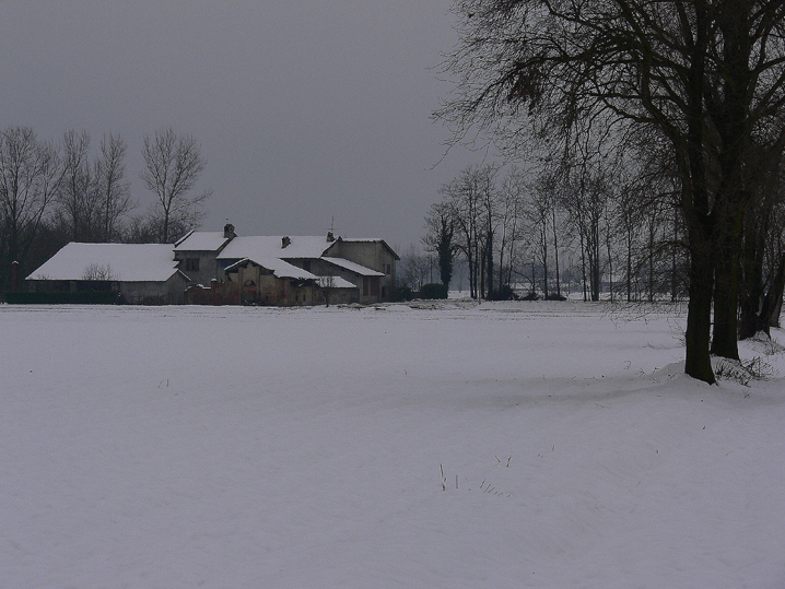 Panorami innevati