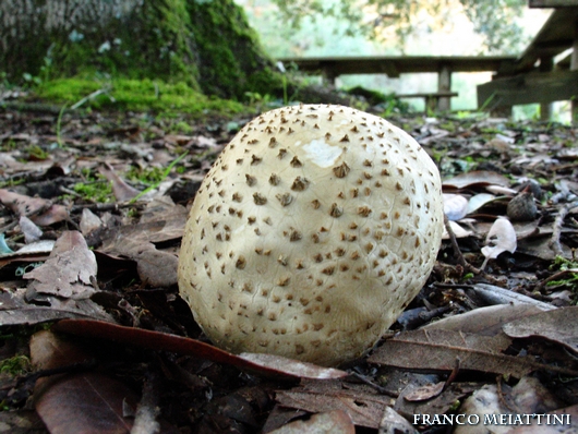 Riassunto met� Novembre