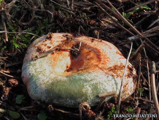 Riassunto met� Novembre