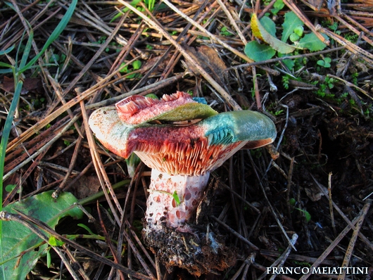 Riassunto met� Novembre