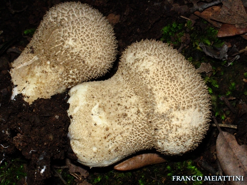 Riassunto met� Novembre